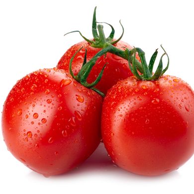 Tomate