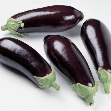 Aubergine à partir