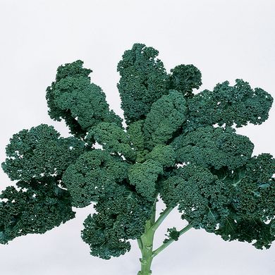 Kale