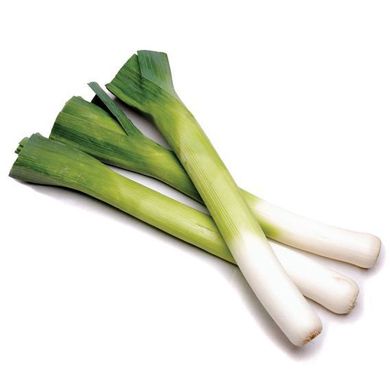 Leek