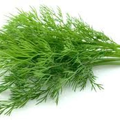 Dill