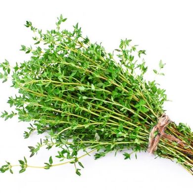 Thyme