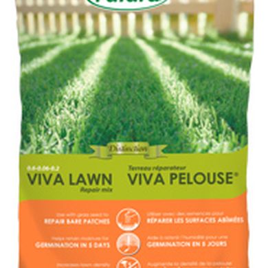 Viva Lawn Repair Mix