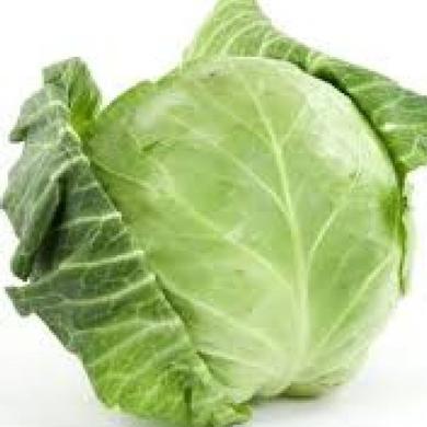 Cabbage