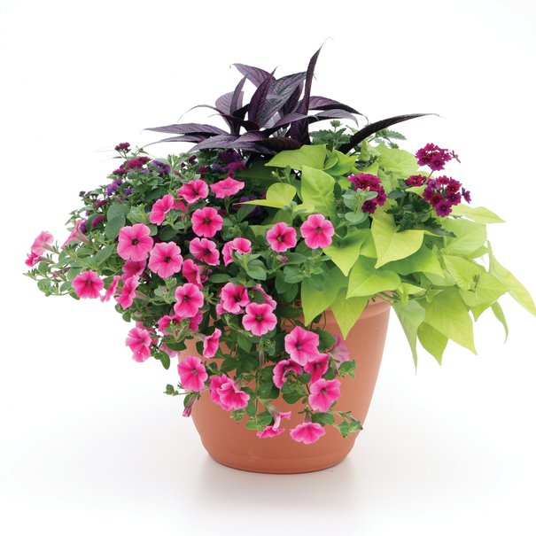 pot patio 10