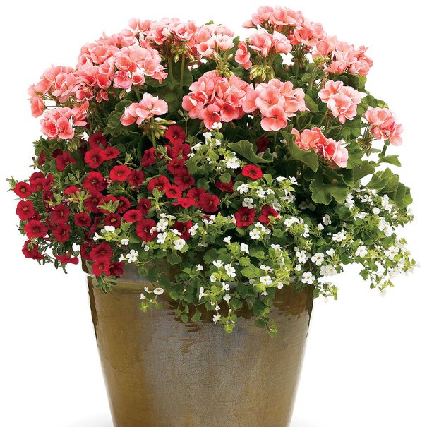 12 Patio planter