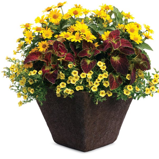 Pot patio 14