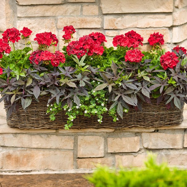 24 balcony planter