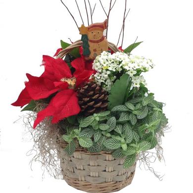 Arrangement de Noel